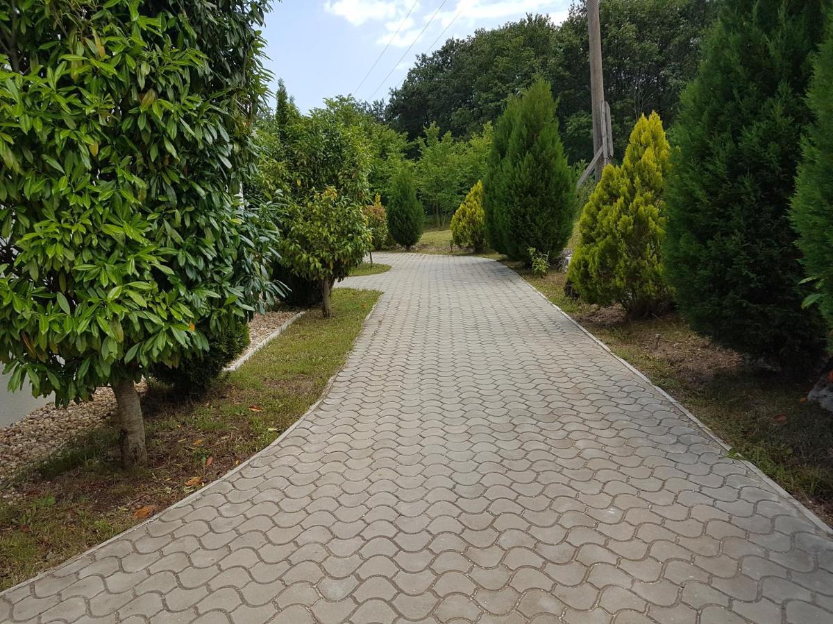 Zlaten Briz Villa Osenovo Exterior foto